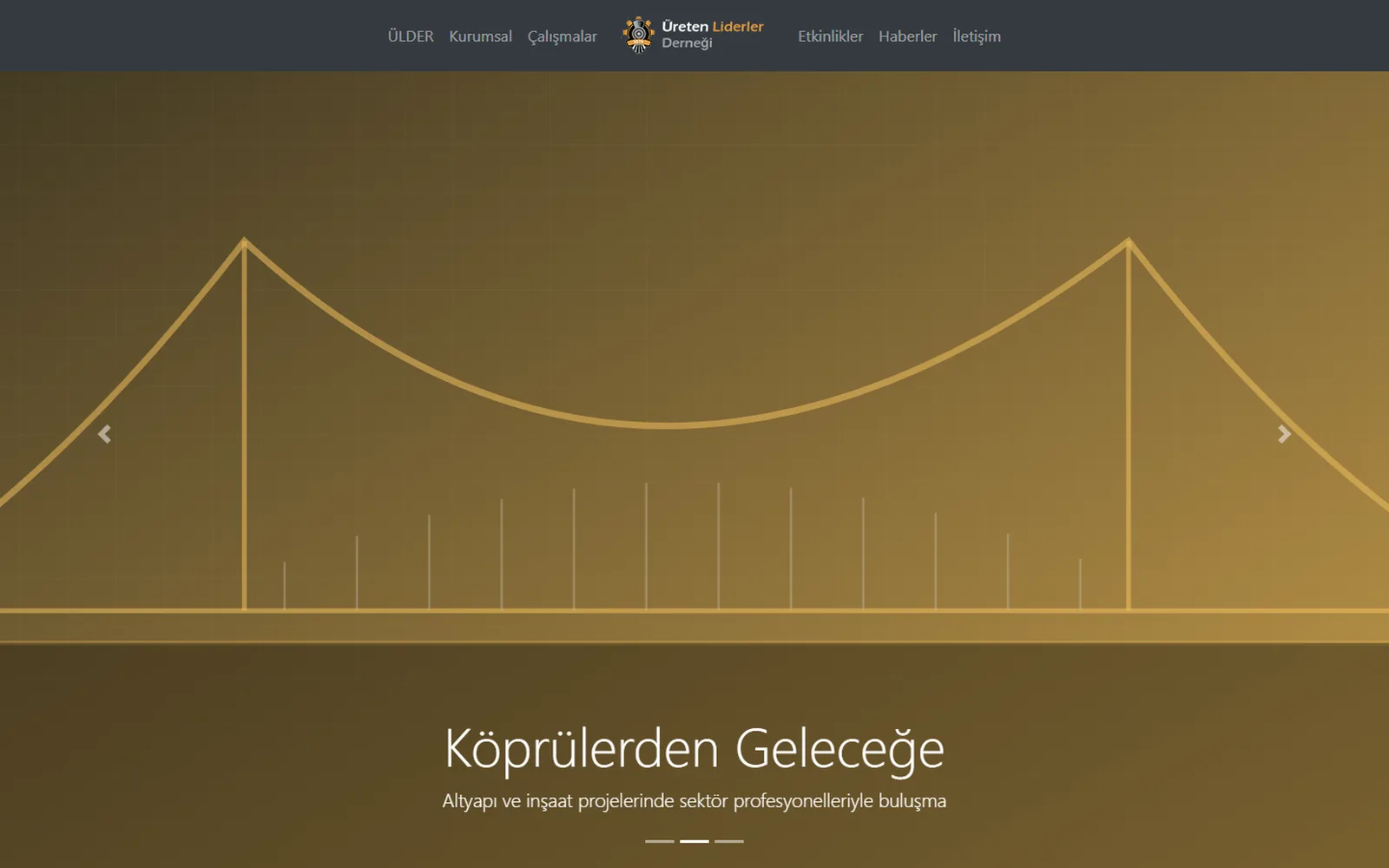 ÜLDER (WordPress, Tema)
